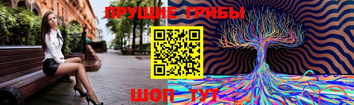 Псилоцибиновые грибы Psilocybe  Галлюциногенные грибы Psilocybe  Вход с VPN  Канаш 