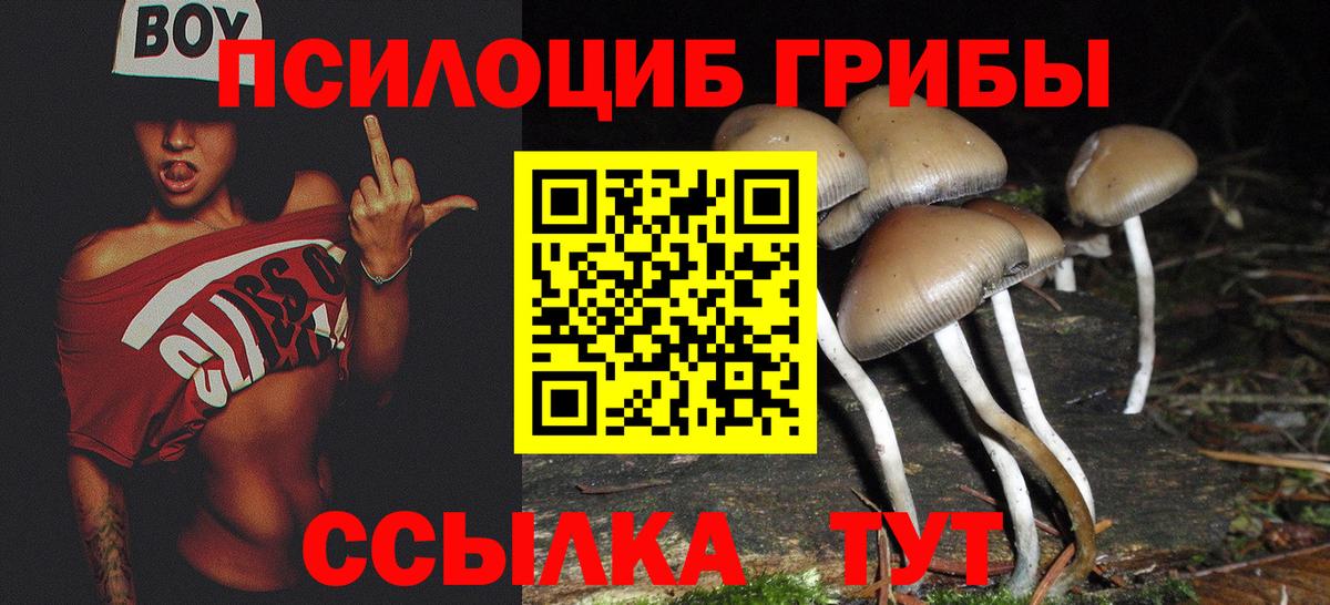 Псилоцибиновые грибы Psilocybine cubensis Канаш