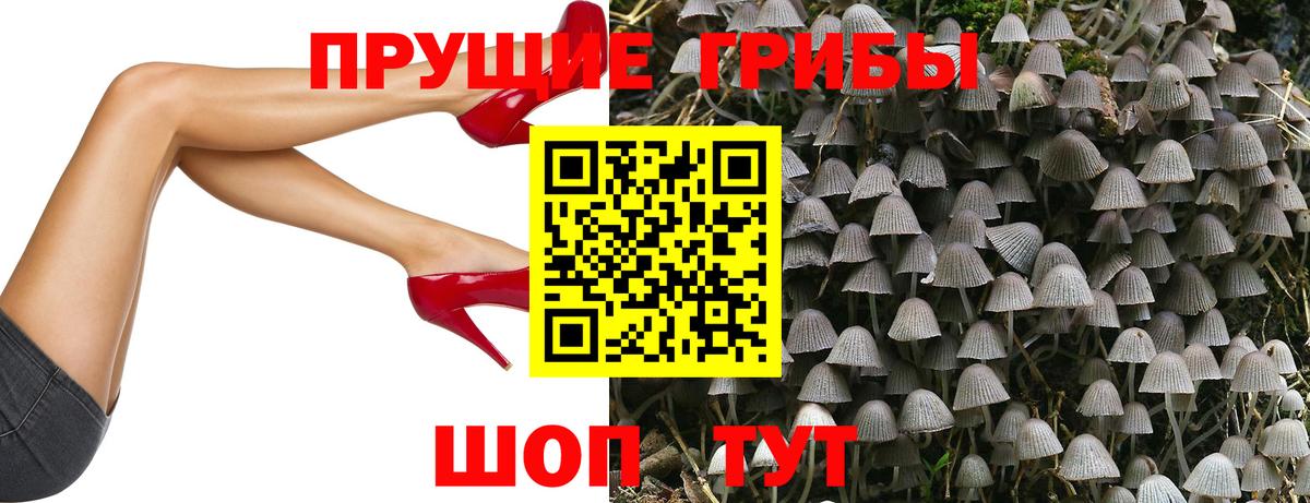 COCAIN Канаш
